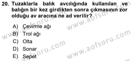 Balık Yetiştiriciliği Dersi 2024 - 2025 Yılı (Final) Dönem Sonu Sınav Soruları 20. Soru