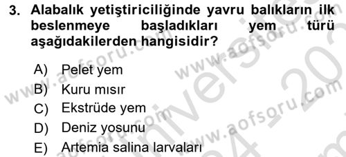 Balık Yetiştiriciliği Dersi 2024 - 2025 Yılı (Final) Dönem Sonu Sınav Soruları 3. Soru