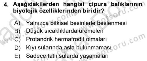 Balık Yetiştiriciliği Dersi 2024 - 2025 Yılı (Final) Dönem Sonu Sınav Soruları 4. Soru
