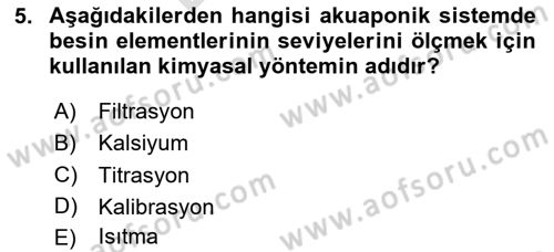 Balık Yetiştiriciliği Dersi 2024 - 2025 Yılı (Final) Dönem Sonu Sınav Soruları 5. Soru