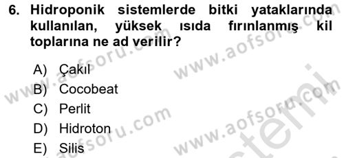 Balık Yetiştiriciliği Dersi 2024 - 2025 Yılı (Final) Dönem Sonu Sınav Soruları 6. Soru