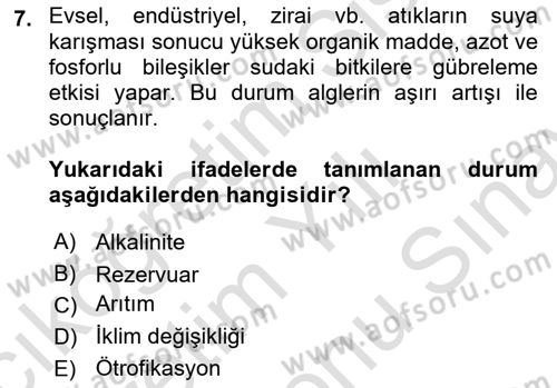 Balık Yetiştiriciliği Dersi 2024 - 2025 Yılı (Final) Dönem Sonu Sınav Soruları 7. Soru