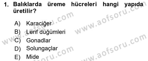 Balık Yetiştiriciliği Dersi 2024 - 2025 Yılı Yaz Okulu Sınav Soruları 1. Soru
