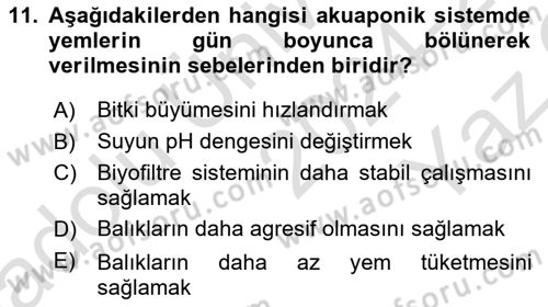 Balık Yetiştiriciliği Dersi 2024 - 2025 Yılı Yaz Okulu Sınav Soruları 11. Soru