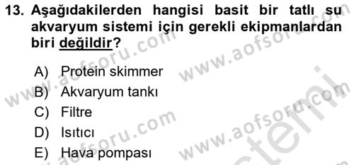 Balık Yetiştiriciliği Dersi 2024 - 2025 Yılı Yaz Okulu Sınav Soruları 13. Soru