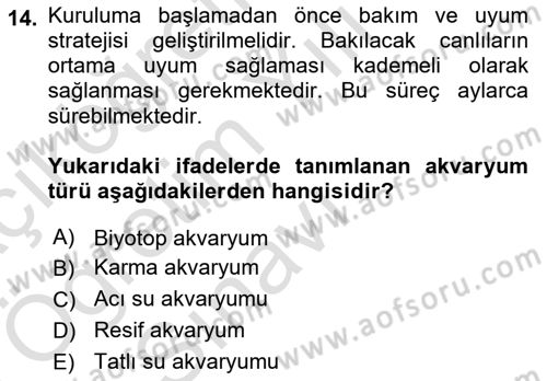 Balık Yetiştiriciliği Dersi 2024 - 2025 Yılı Yaz Okulu Sınav Soruları 14. Soru