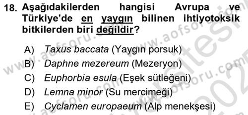 Balık Yetiştiriciliği Dersi 2024 - 2025 Yılı Yaz Okulu Sınav Soruları 18. Soru