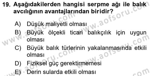Balık Yetiştiriciliği Dersi 2024 - 2025 Yılı Yaz Okulu Sınav Soruları 19. Soru