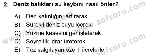 Balık Yetiştiriciliği Dersi 2024 - 2025 Yılı Yaz Okulu Sınav Soruları 2. Soru