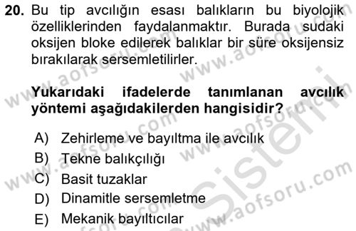 Balık Yetiştiriciliği Dersi 2024 - 2025 Yılı Yaz Okulu Sınav Soruları 20. Soru