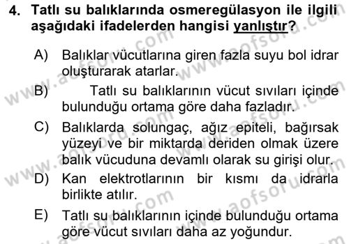 Balık Yetiştiriciliği Dersi 2024 - 2025 Yılı Yaz Okulu Sınav Soruları 4. Soru