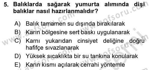 Balık Yetiştiriciliği Dersi 2024 - 2025 Yılı Yaz Okulu Sınav Soruları 5. Soru