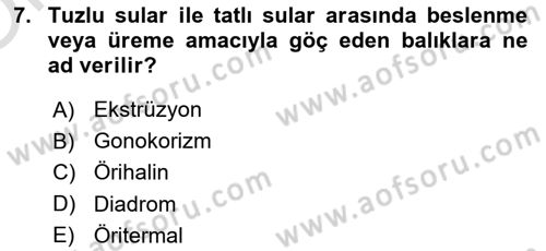 Balık Yetiştiriciliği Dersi 2024 - 2025 Yılı Yaz Okulu Sınav Soruları 7. Soru