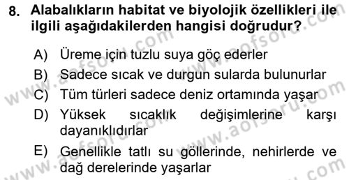 Balık Yetiştiriciliği Dersi 2024 - 2025 Yılı Yaz Okulu Sınav Soruları 8. Soru