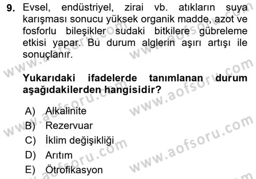 Balık Yetiştiriciliği Dersi 2024 - 2025 Yılı Yaz Okulu Sınav Soruları 9. Soru