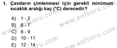 Tarla Bitkileri Dersi 2024 - 2025 Yılı (Vize) Ara Sınav Soruları 1. Soru
