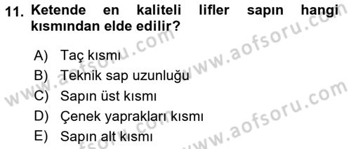 Tarla Bitkileri Dersi 2024 - 2025 Yılı (Vize) Ara Sınav Soruları 11. Soru