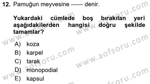Tarla Bitkileri Dersi 2024 - 2025 Yılı (Vize) Ara Sınav Soruları 12. Soru