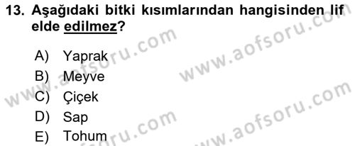 Tarla Bitkileri Dersi 2024 - 2025 Yılı (Vize) Ara Sınav Soruları 13. Soru