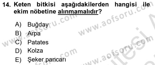 Tarla Bitkileri Dersi 2024 - 2025 Yılı (Vize) Ara Sınav Soruları 14. Soru