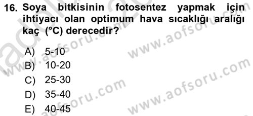 Tarla Bitkileri Dersi 2024 - 2025 Yılı (Vize) Ara Sınav Soruları 16. Soru