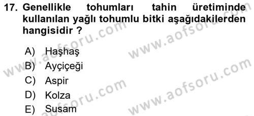 Tarla Bitkileri Dersi 2024 - 2025 Yılı (Vize) Ara Sınav Soruları 17. Soru