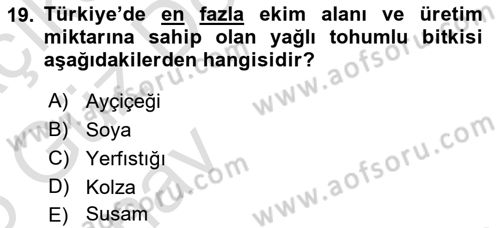 Tarla Bitkileri Dersi 2024 - 2025 Yılı (Vize) Ara Sınav Soruları 19. Soru