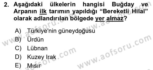 Tarla Bitkileri Dersi 2024 - 2025 Yılı (Vize) Ara Sınav Soruları 2. Soru
