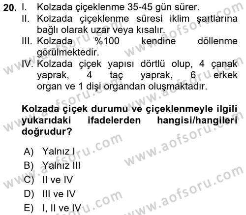 Tarla Bitkileri Dersi 2024 - 2025 Yılı (Vize) Ara Sınav Soruları 20. Soru