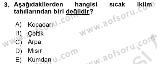 Tarla Bitkileri Dersi 2024 - 2025 Yılı (Vize) Ara Sınav Soruları 3. Soru