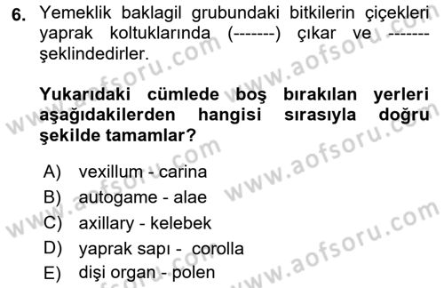 Tarla Bitkileri Dersi 2024 - 2025 Yılı (Vize) Ara Sınav Soruları 6. Soru