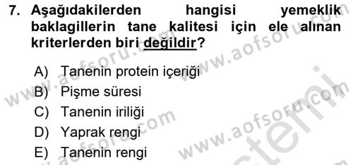 Tarla Bitkileri Dersi 2024 - 2025 Yılı (Vize) Ara Sınav Soruları 7. Soru