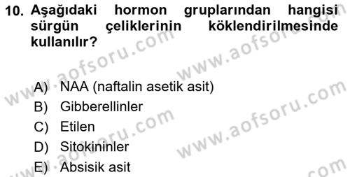 Tarla Bitkileri Dersi 2024 - 2025 Yılı (Final) Dönem Sonu Sınav Soruları 10. Soru