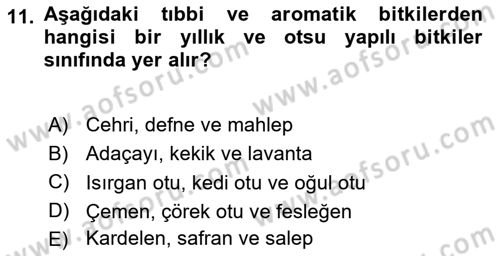 Tarla Bitkileri Dersi 2024 - 2025 Yılı (Final) Dönem Sonu Sınav Soruları 11. Soru