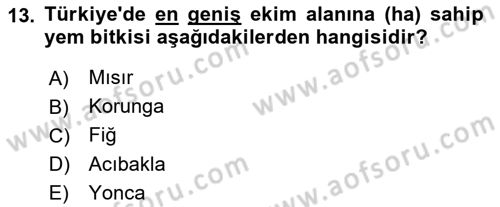 Tarla Bitkileri Dersi 2024 - 2025 Yılı (Final) Dönem Sonu Sınav Soruları 13. Soru