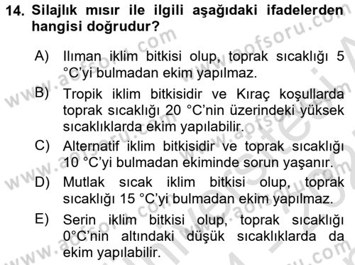 Tarla Bitkileri Dersi 2024 - 2025 Yılı (Final) Dönem Sonu Sınav Soruları 14. Soru