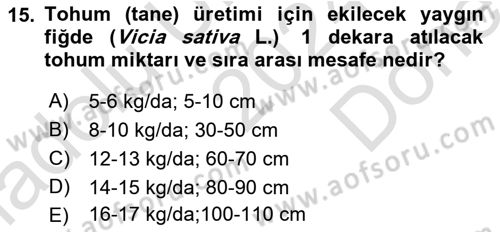 Tarla Bitkileri Dersi 2024 - 2025 Yılı (Final) Dönem Sonu Sınav Soruları 15. Soru