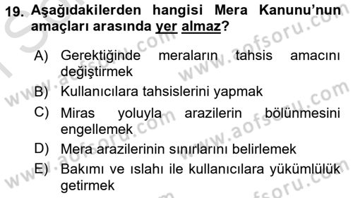 Tarla Bitkileri Dersi 2024 - 2025 Yılı (Final) Dönem Sonu Sınav Soruları 19. Soru