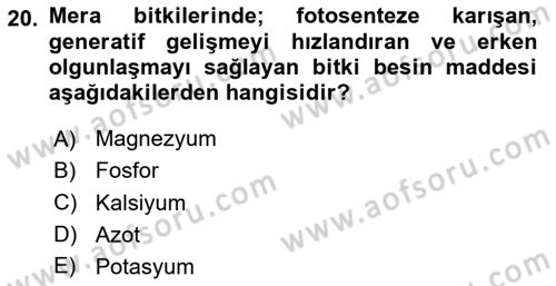 Tarla Bitkileri Dersi 2024 - 2025 Yılı (Final) Dönem Sonu Sınav Soruları 20. Soru