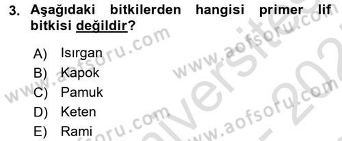 Tarla Bitkileri Dersi 2024 - 2025 Yılı (Final) Dönem Sonu Sınav Soruları 3. Soru