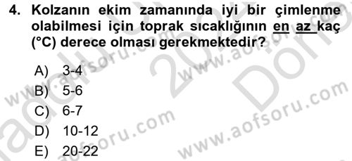 Tarla Bitkileri Dersi 2024 - 2025 Yılı (Final) Dönem Sonu Sınav Soruları 4. Soru