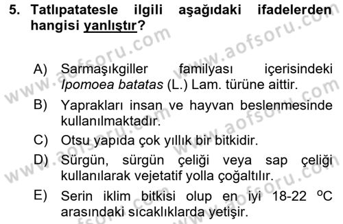 Tarla Bitkileri Dersi 2024 - 2025 Yılı (Final) Dönem Sonu Sınav Soruları 5. Soru