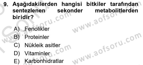 Tarla Bitkileri Dersi 2024 - 2025 Yılı (Final) Dönem Sonu Sınav Soruları 9. Soru