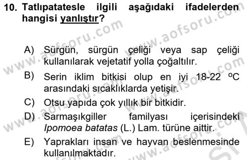 Tarla Bitkileri Dersi 2024 - 2025 Yılı Yaz Okulu Sınav Soruları 10. Soru