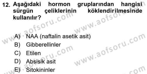 Tarla Bitkileri Dersi 2024 - 2025 Yılı Yaz Okulu Sınav Soruları 12. Soru