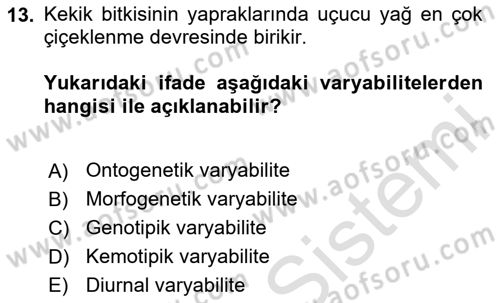 Tarla Bitkileri Dersi 2024 - 2025 Yılı Yaz Okulu Sınav Soruları 13. Soru