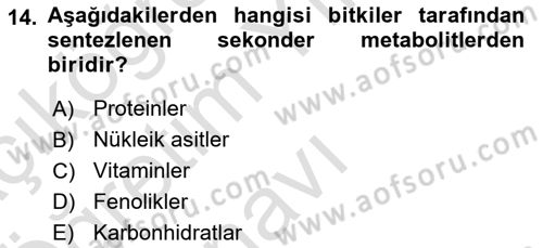 Tarla Bitkileri Dersi 2024 - 2025 Yılı Yaz Okulu Sınav Soruları 14. Soru