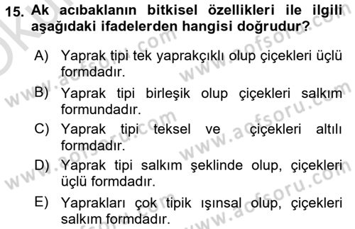 Tarla Bitkileri Dersi 2024 - 2025 Yılı Yaz Okulu Sınav Soruları 15. Soru