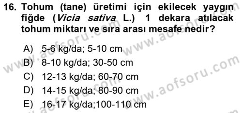 Tarla Bitkileri Dersi 2024 - 2025 Yılı Yaz Okulu Sınav Soruları 16. Soru