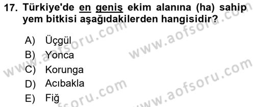 Tarla Bitkileri Dersi 2024 - 2025 Yılı Yaz Okulu Sınav Soruları 17. Soru